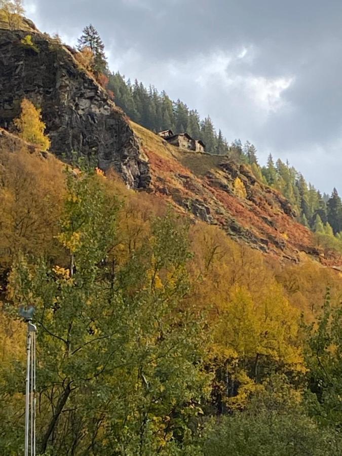 Baita Valtellina. Relax Nel Cuore Delle Alpi Grosio Eksteriør bilde